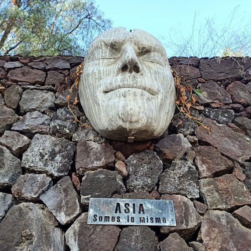foto cara Asia Julio Nieto 2
